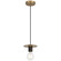 1 Light Pendant (7|62338-AB)