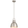 1 Light Pendant (7|52010-BS)