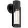 1 Light Outdoor Wall Mount (7|20115LEDDMGLP-BL/CLR)
