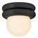 Extra Small Convertible Flush Mount (1118101|83291BK)
