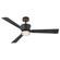 Vosh 56'' LED Smart Fan with Uplight (87|910956FMB-LDD)