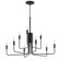Abner 9-Light Chandelier (19|24869BK)