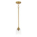 Acadia 1-Light Pendant (19|91260CDNAB)