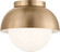 Hyde Medium Flush Mount (7725|DJF1011SB)