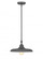 1 Light Pendant (276|2308P14-MBZ)