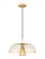 1 Light Pendant (276|623P16-MGLD)