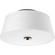 Arden Collection Two-Light 14'' Flush Mount (149|P3739-20)