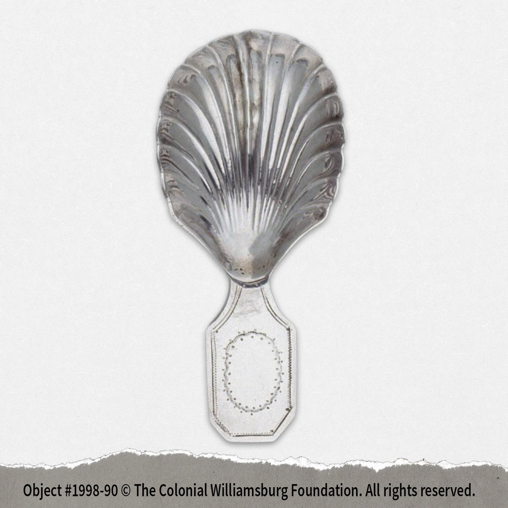 Scalloped Seashell Tea Caddy Spoon