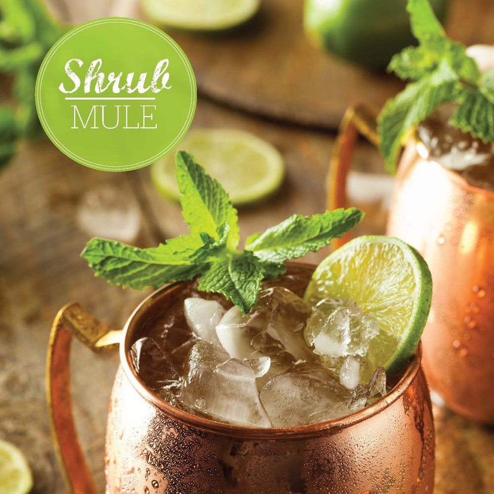 Ginger Shrub Cocktail Mixer