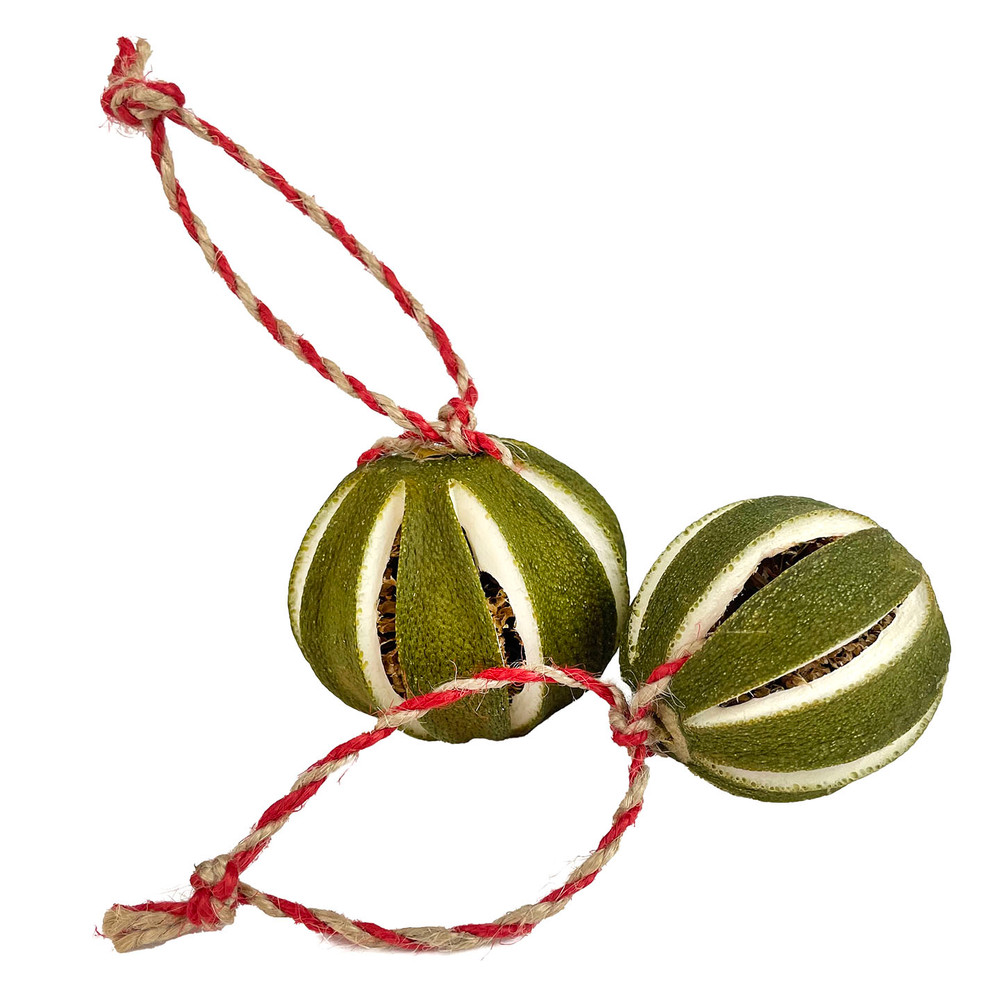 Preserved Lime Ornaments | The Shops at Colonial Williamsburg