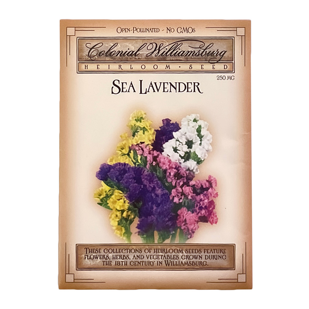 Sea Lavender Flower Seeds | The Shops at Colonial Williamsburg