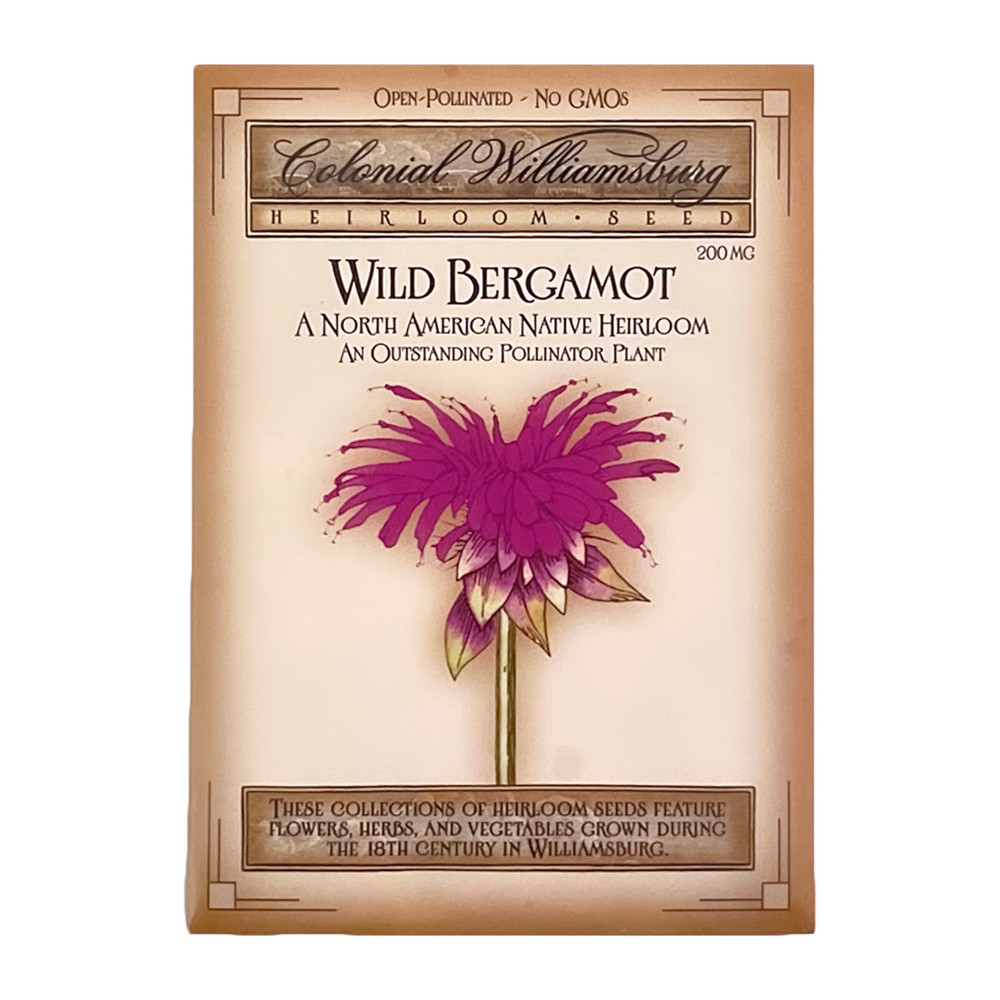 Wild Bergamot Flower Seeds | The Shops at Colonial Williamsburg