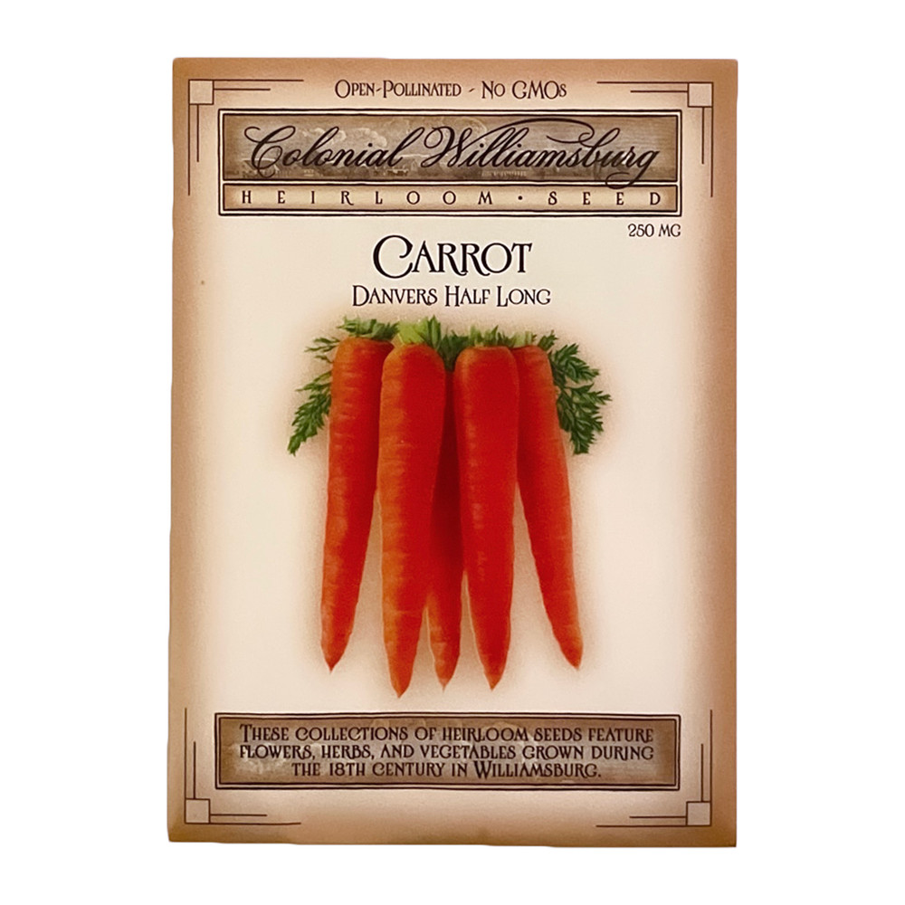 111186-SP23-00__33538.