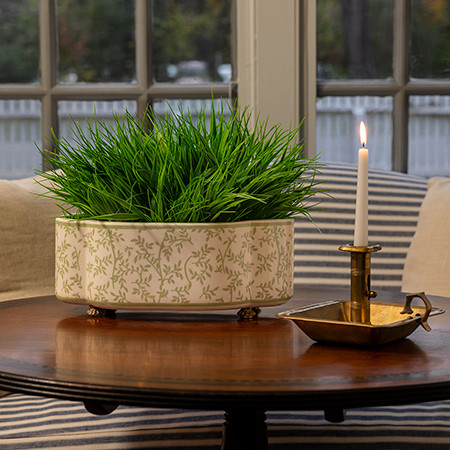 WILLIAMSBURG Ghost Blossom Leaves Oval Planter by Port 68