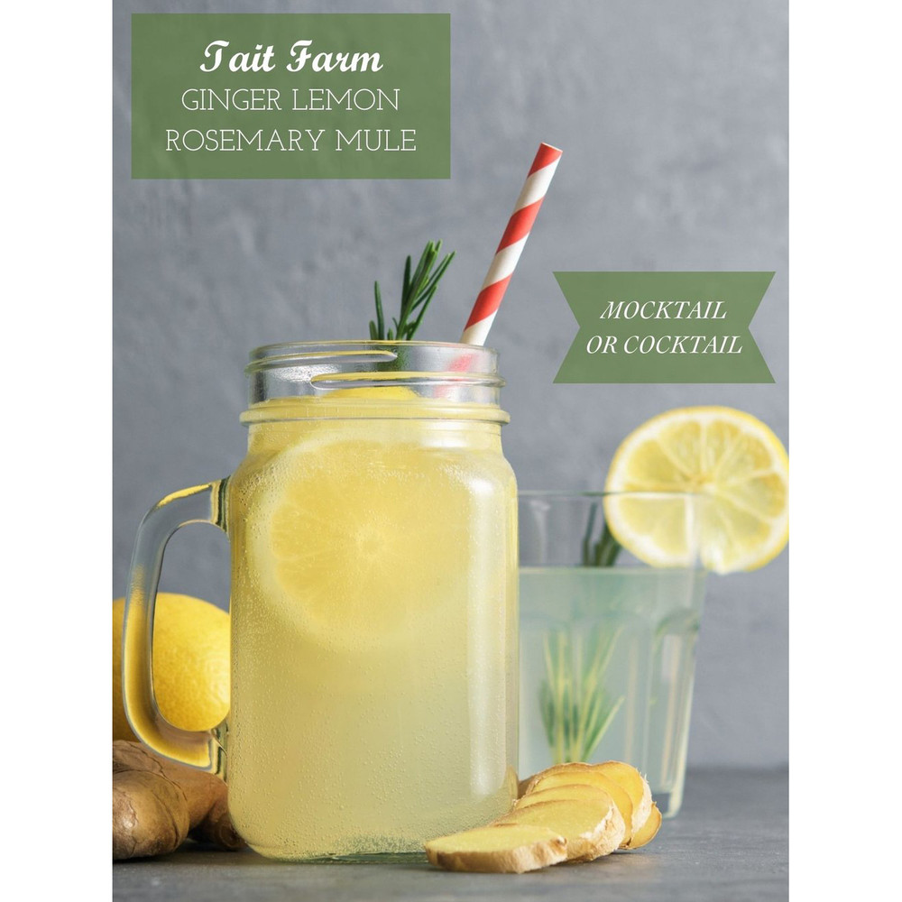 Lemon Ginger Shrub Cocktail Mixer | The Shops at Colonial Williamsburg