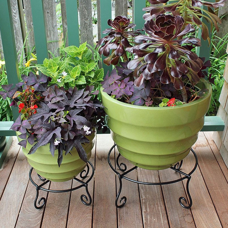 Wrought Iron Piazza Plant Stand