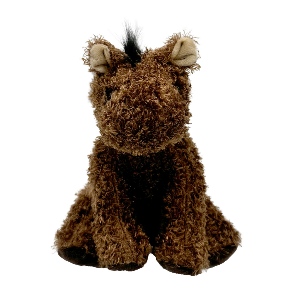 Colonial Williamsburg 