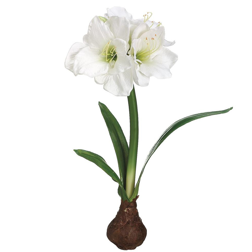 Standing Amaryllis with Bulb Floral Arrangement - White | The Shops at Colonial Williamsburg