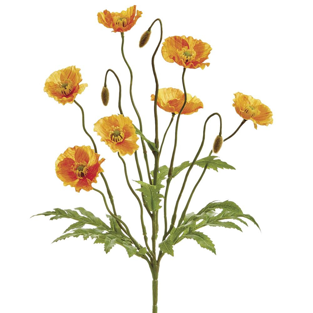 Poppy Flower Bush 15" - Orange | The Shops at Colonial Williamsburg