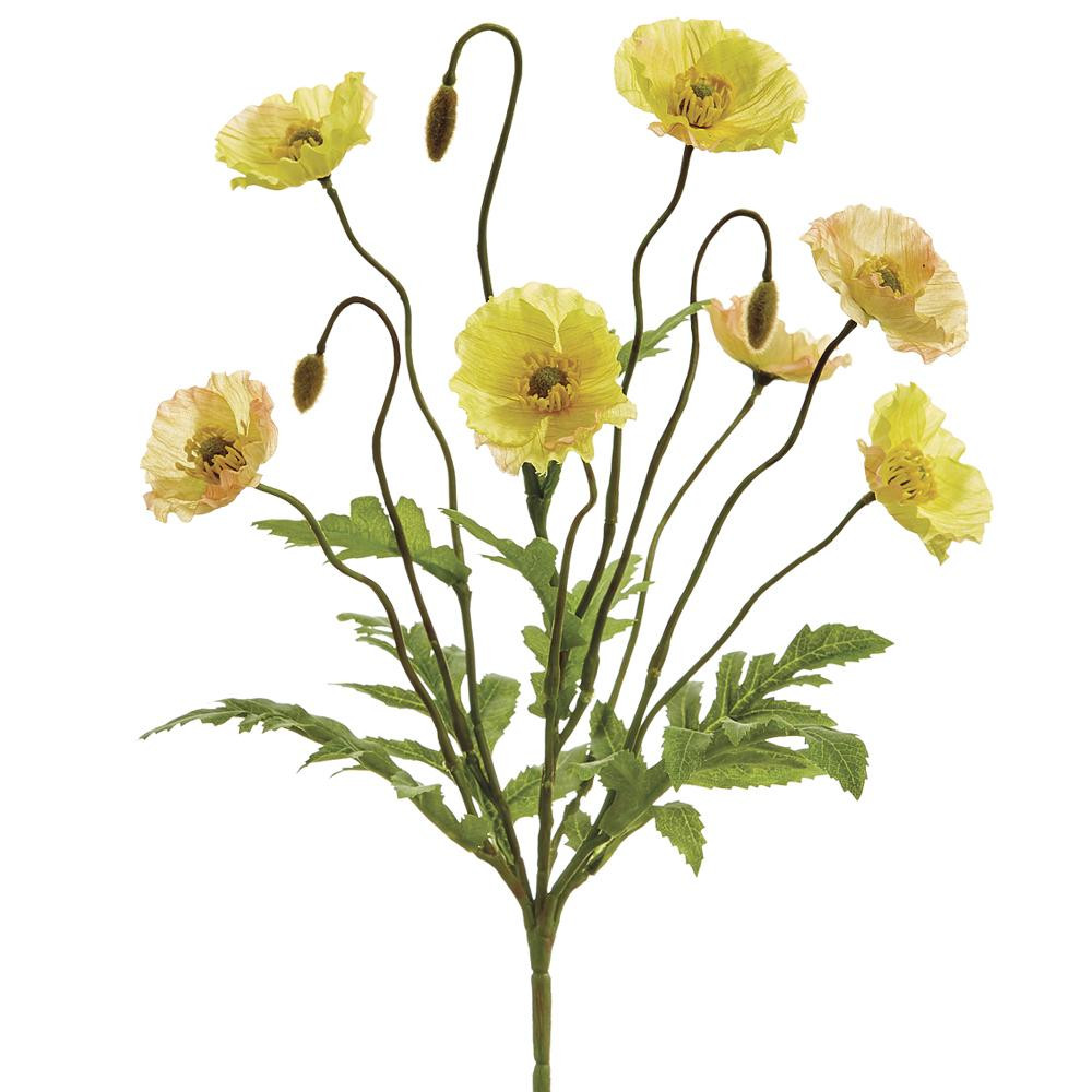 Poppy Flower Bush 15" - Yellow | The Shops at Colonial Williamsburg