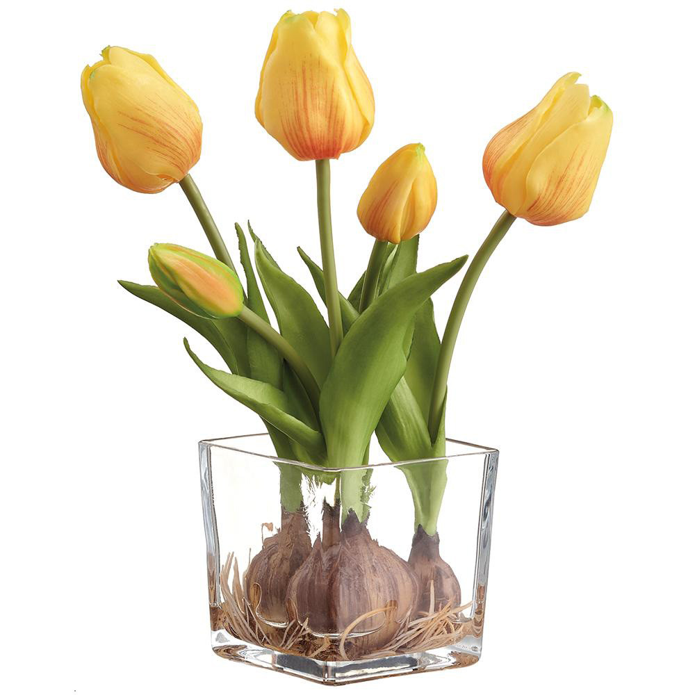 Tulips with Bulbs in a Glass Vase - Yellow | The Shops at Colonial Williamsburg