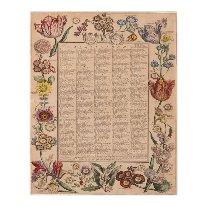 Parrot Tulip Floral Stem 23" | The Shops at Colonial Williamsburg