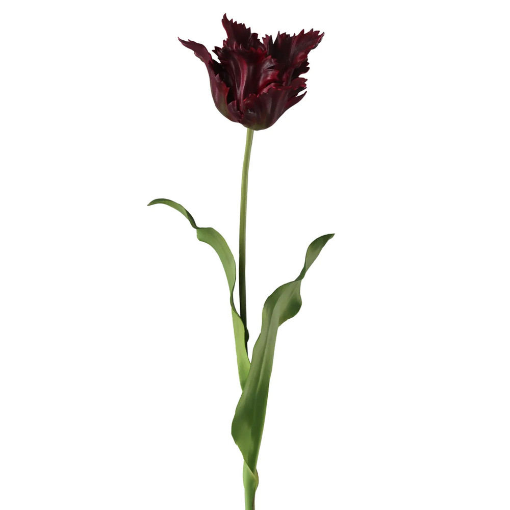 Parrot Tulip Floral Stem 23" - Burgundy | The Shops at Colonial Williamsburg