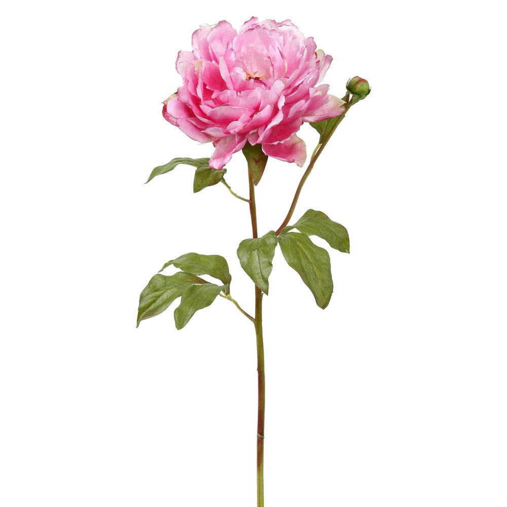 Orchid Pink Peony Floral Stem 19.5" | The Shops at Colonial Williamsburg