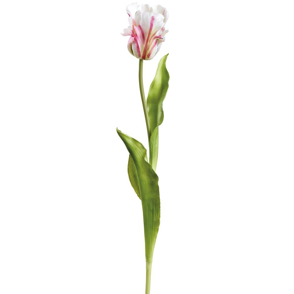 Real Touch Parrot Tulip Stem 20" - White | The Shops at Colonial Williamsburg