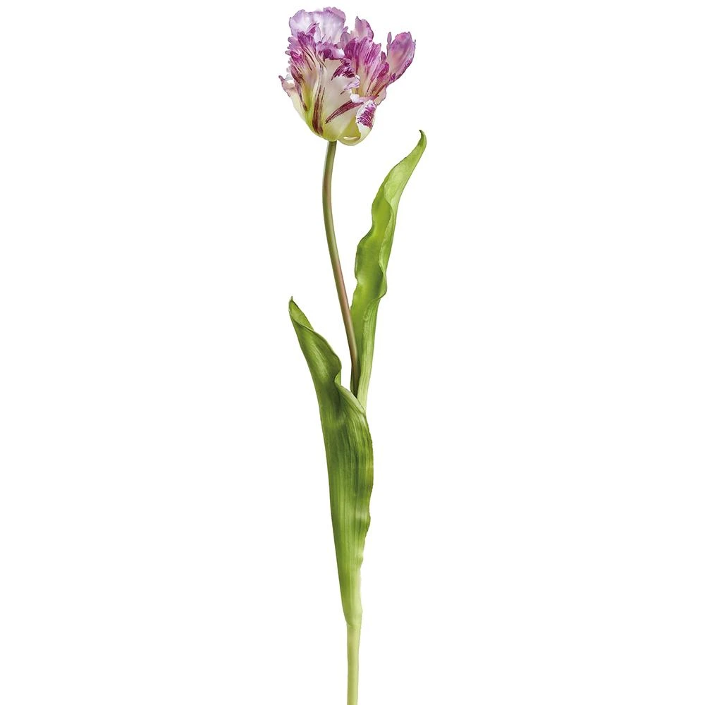 Real Touch Parrot Tulip Stem 20" - Purple | The Shops at Colonial Williamsburg
