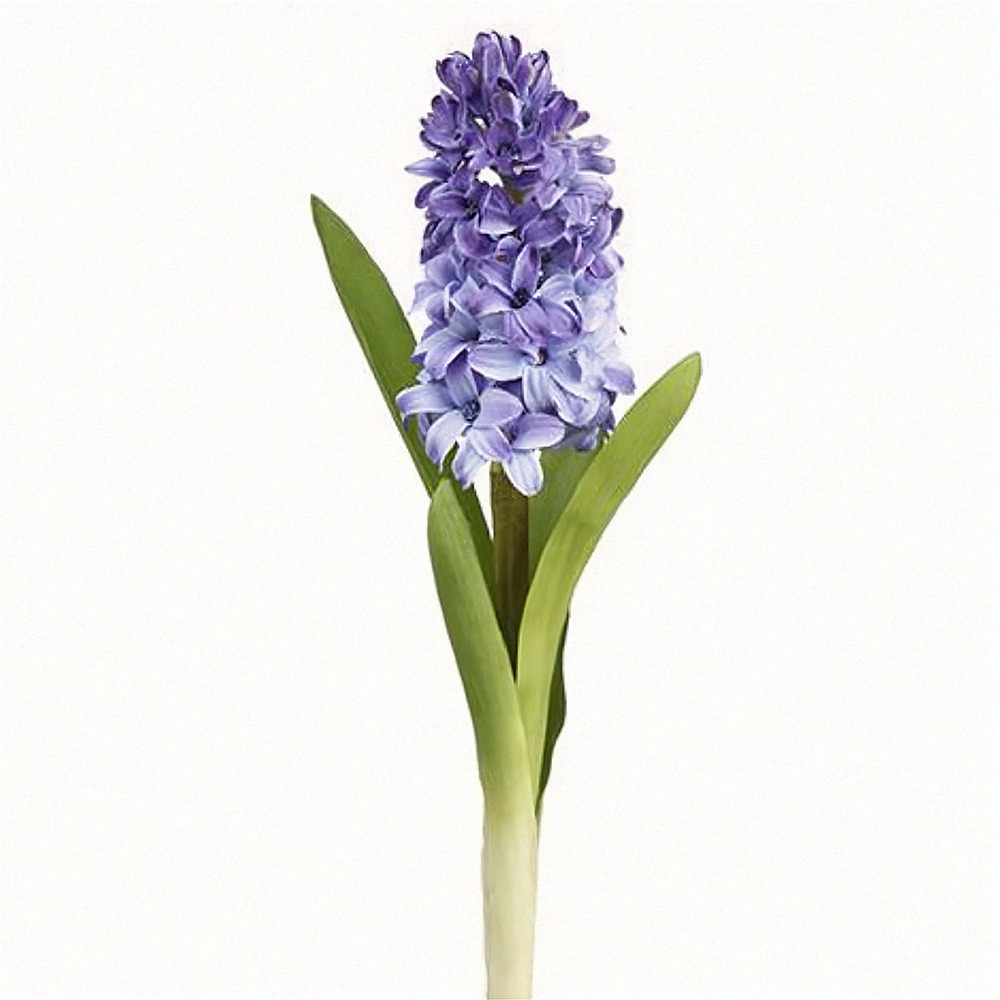 Hyacinth Flower Spray 12.5" | The Shops at Colonial Williamsburg