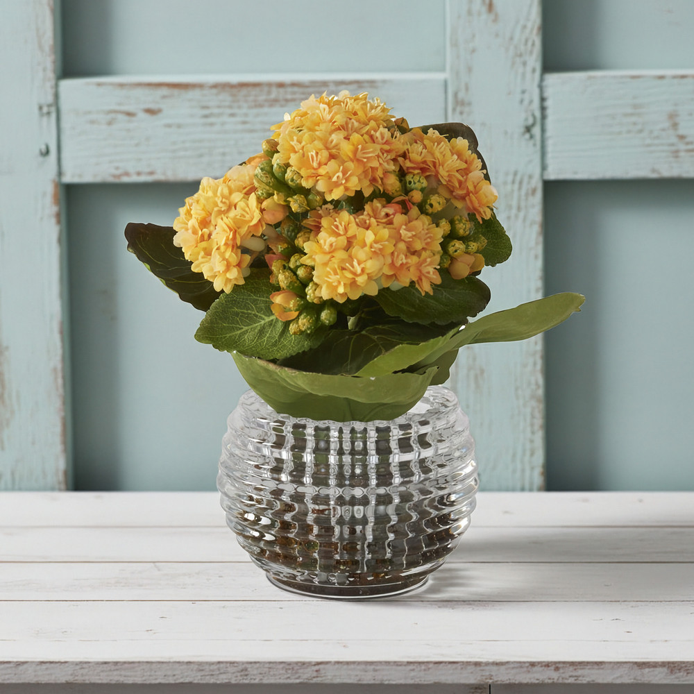 Mini Kalanchoe Flower Arrangement in a Glass Bowl 7.5" | The Shops at Colonial Williamsburg
