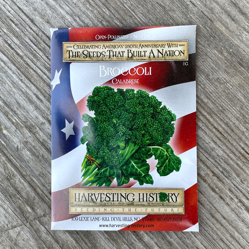 Heirloom Broccoli Seeds - Calabrese, Green Sprouting | The Shops at Colonial Williamsburg
