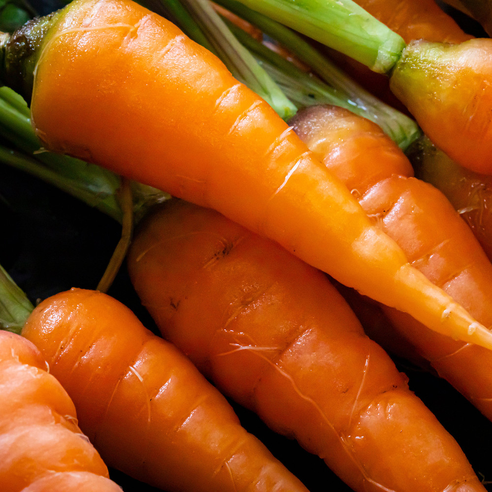 Heirloom Carrot Seeds (Danvers Half Long) | The Shops at Colonial Williamsburg