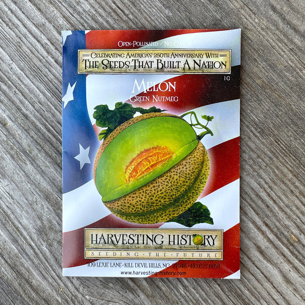 melonさま専用ページ Heirloom Melon Seeds - Green Nutmeg