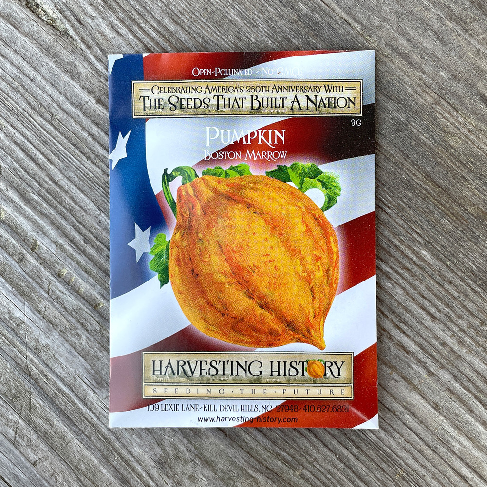 Heirloom Pumpkin Seeds - Boston Marrow | The Shops at Colonial Williamsburg