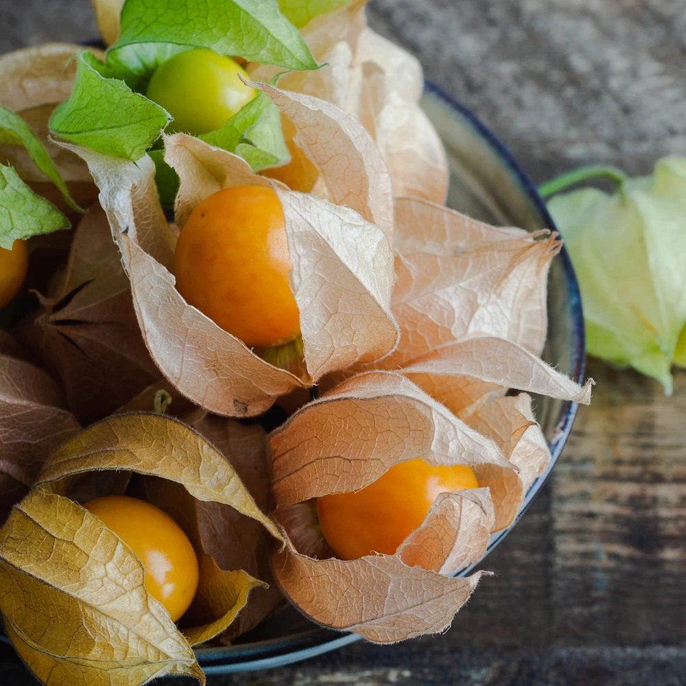 Heirloom Heirloom Tomatillo Seeds | The Shops at Colonial Williamsburg
