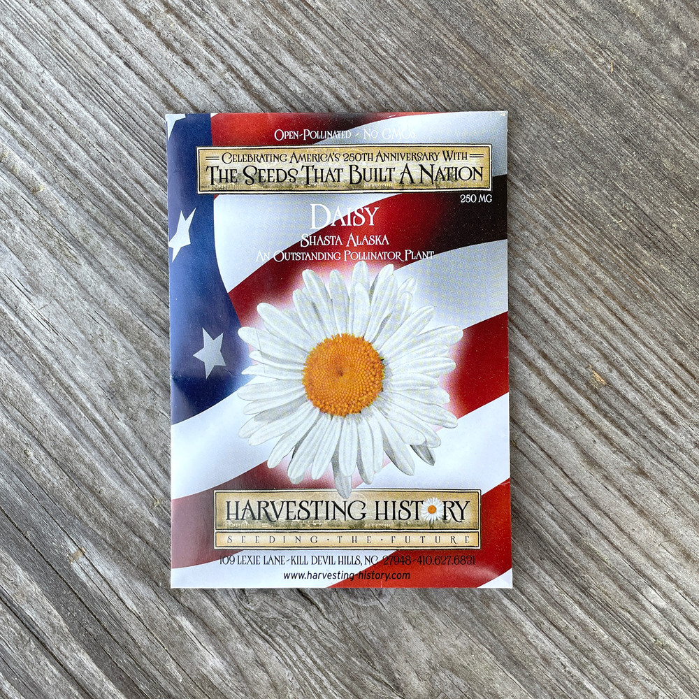 Heirloom Daisy Flower Seeds - Shasta Alaska | The Shops at Colonial Williamsburg