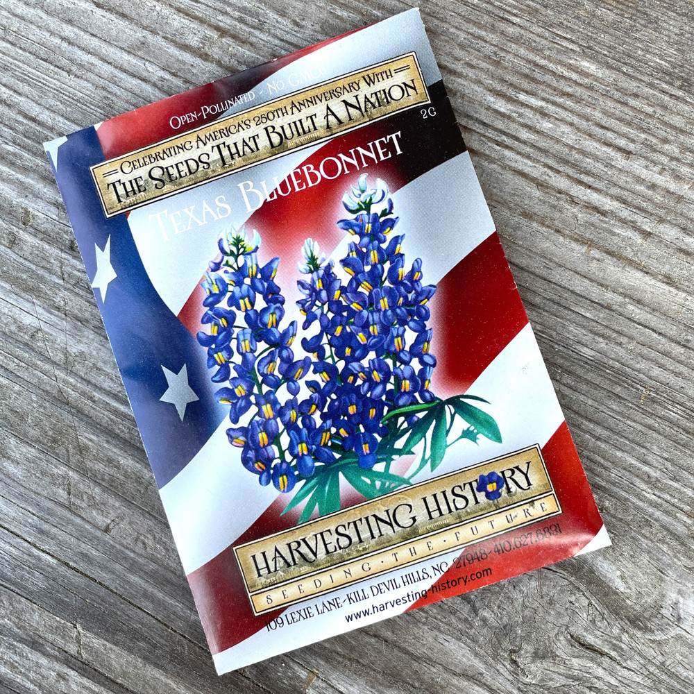 Heirloom Lupine Flower Seeds - Texas Bluebonnet | The Shops at Colonial Williamsburg