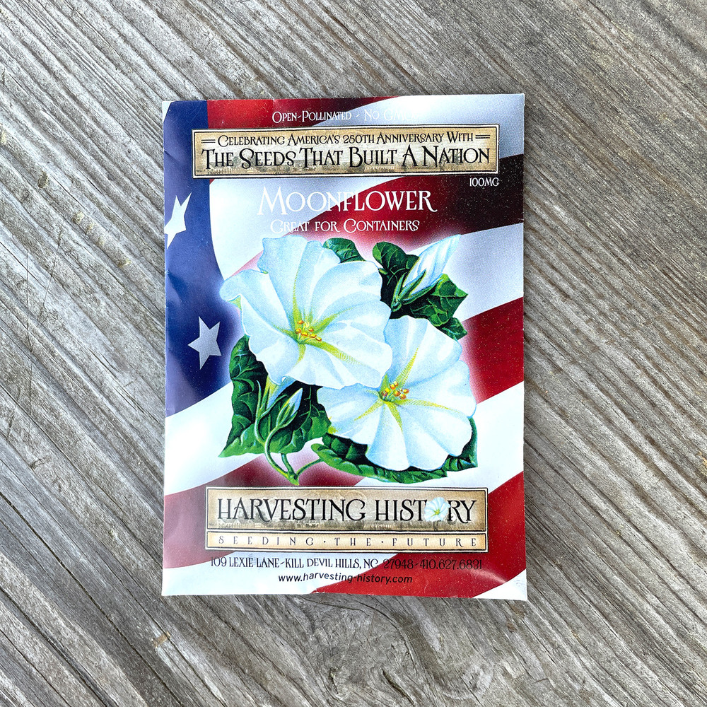 Heirloom Moonflower Seeds - Ornamental Vine | The Shops at Colonial Williamsburg