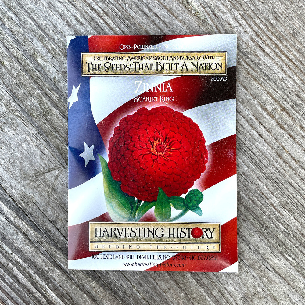 Heirloom Zinnia Seeds - Scarlet King (California Giant) | The Shops at Colonial Williamsburg