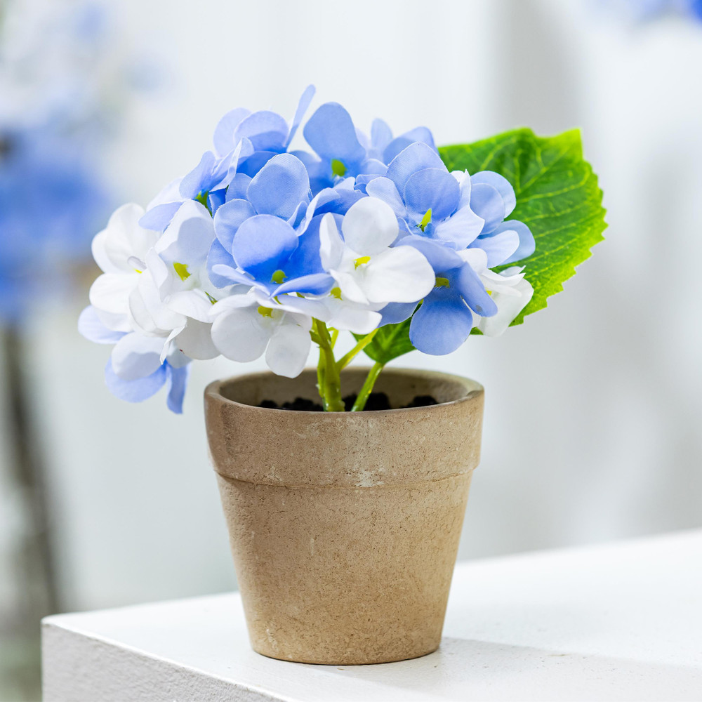 Mini Potted Blue Hydrangea Flower Arrangement 7" | The Shops at Colonial Williamsburg