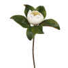 Magnolia Closed Blossom Stem - 20" | The Shops at Colonial Williamsburg