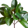 Magnolia Leaf Pick 16" | The Shops at Colonial Williamsburg
