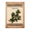 Oregano Herb Seeds | The Shops at Colonial Williamsburg