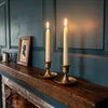 Ivory Taper Beeswax Candles | The Shops at Colonial Williamsburg