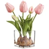 Tulips with Bulbs in a Glass Vase - Pink | The Shops at Colonial Williamsburg