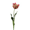 Parrot Tulip Floral Stem 23" - Red | The Shops at Colonial Williamsburg