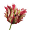 Parrot Tulip Floral Stem 23" - Red | The Shops at Colonial Williamsburg