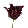 Parrot Tulip Floral Stem 23" - Burgundy | The Shops at Colonial Williamsburg